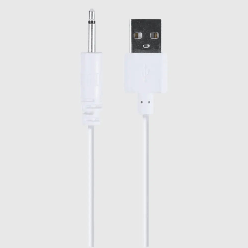 Chargeur SVAKOM - Câble de charge USB-A vers 2,5 mm